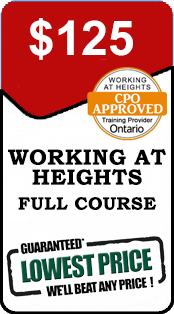 Working at Heights Full Training